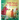 Little Fairy's Christmas