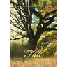 Let the Seed Fall: Growing from a Seed to a Tree by God's Power