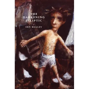 The Darkening Ecliptic
