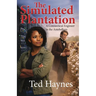 The Simulated Plantation: A Connecticut Engineer in the Antebellum