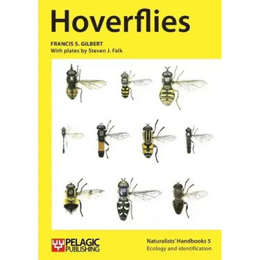 Hoverflies