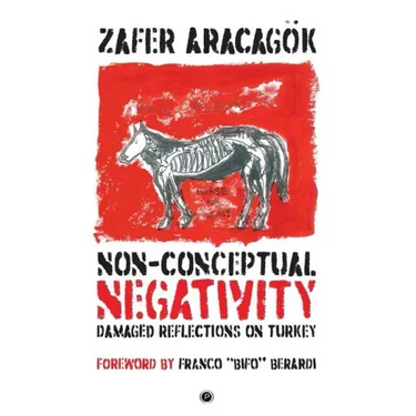 Non-Conceptual Negativity: Damaged Reflections on Turkey