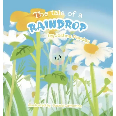 The tale of a raindrop