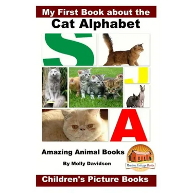 My First Book about the Cat Alphabet - Amazing Animal Books - Children's Picture Books