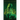 Into the Emerald Dream