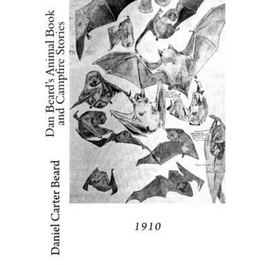 Dan Beard's Animal Book and Campfire Stories