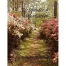 The Splendor of Azalea Garden