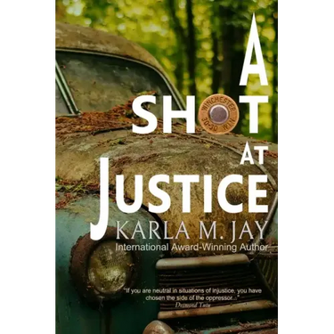 A Shot at Justice: A Highly Addictive Vigilante Story
