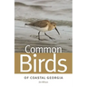 Common Birds of Coastal Georgia