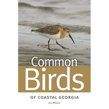 Common Birds of Coastal Georgia