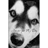 Stories for My Dog