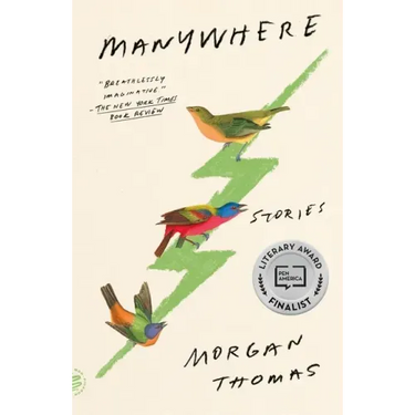 Manywhere: Stories