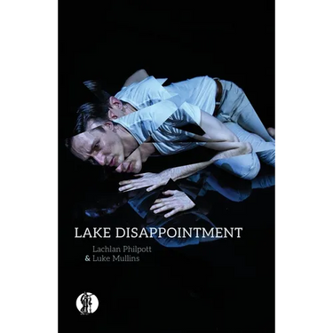 Lake Disappointment