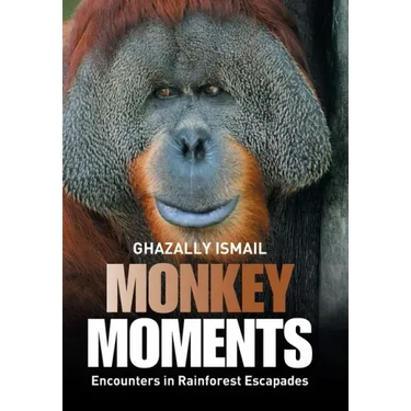 Monkey Moments: Encounters in Rainforest Escapades