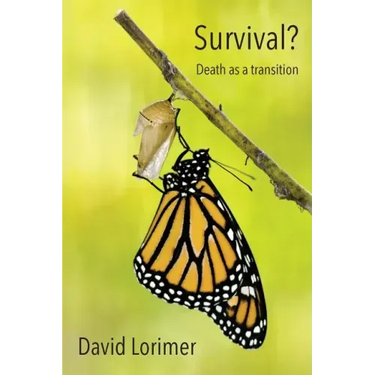Survival? Death as a Transition