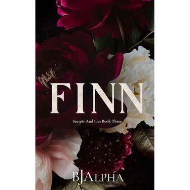 Finn Discreet Cover: Secrets and Lies Discreet Cover Book 3