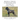 Medical, Genetic & Behavioral Risk Factors of Cane Corsos