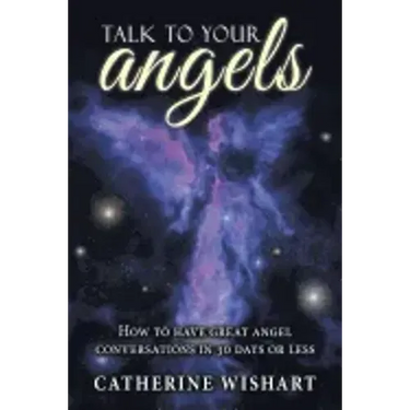 Talk to your angels: How to have great angel conversations in 30 days or less