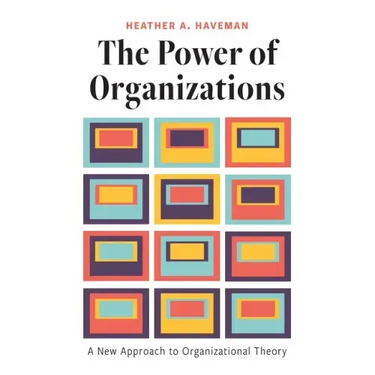 The Power of Organizations: A New Approach to Organizational Theory