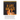 A Life Ablaze Study Guide