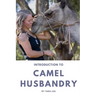 Introduction to Camel Husbandry: Practical Guide to Caring for and Managing Domestic Camels