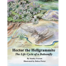 Hector the Hellgrammite: The Life Cycle of a Dobsonfly