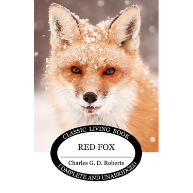 Red Fox