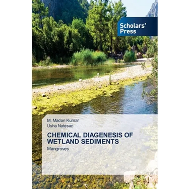 Chemical Diagenesis of Wetland Sediments