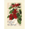 Vintage Lined Notebook Greetings from San Rafael, California