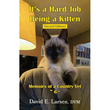 It's a Hard Job Being a Kitten