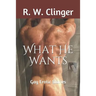 What He Wants: Gay Erotic Stories