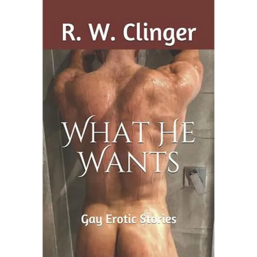 What He Wants: Gay Erotic Stories