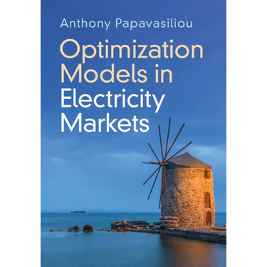 Optimization Models in Electricity Markets