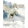 Unicorn Notebook: 100 Pages 8.5" X 11" Wide Ruled Line Paper