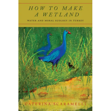 How to Make a Wetland: Water and Moral Ecology in Turkey