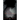missing