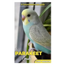 The Parakeet Guide: A Comprehensive Care Guide