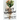Lucky Tomorrow: Stories