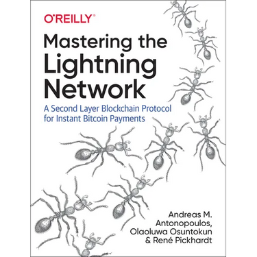 Mastering the Lightning Network: A Second Layer Blockchain Protocol for Instant Bitcoin Payments