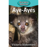 Aye-Ayes
