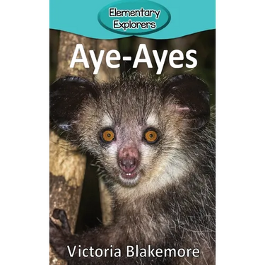 Aye-Ayes