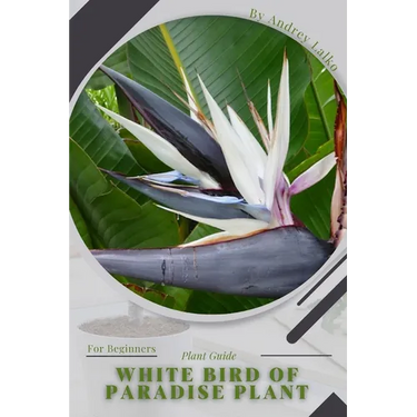White Bird of Paradise plant: Plant Guide