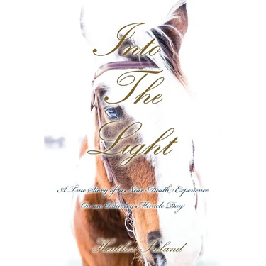 Into The Light: A True Story of a Near-Death Experience on An Ordinary Miracle Day