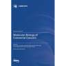 Molecular Biology of Colorectal Cancers