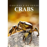 Crabs - Curious Kids Press: Kids book about animals and wildlife, Children's books 4-6