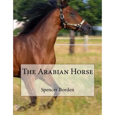 The Arabian Horse