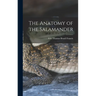 The Anatomy of the Salamander