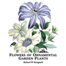Flowers of Ornamental Garden Plants