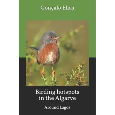 Birding hotspots in the Algarve: Around Lagos