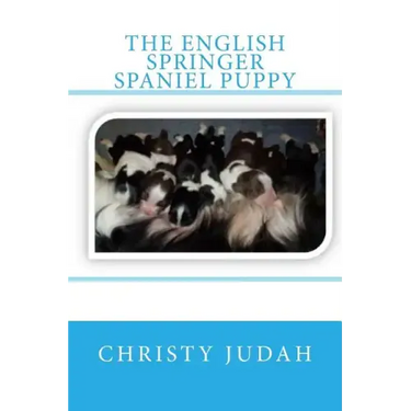 The English Springer Spaniel Puppy